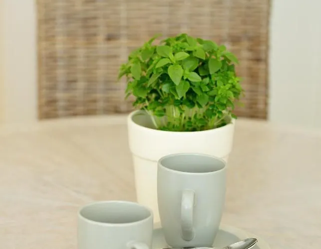 Apartament Sea View By The Ihasalu